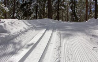 Skispor