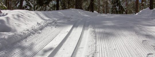 Skispor