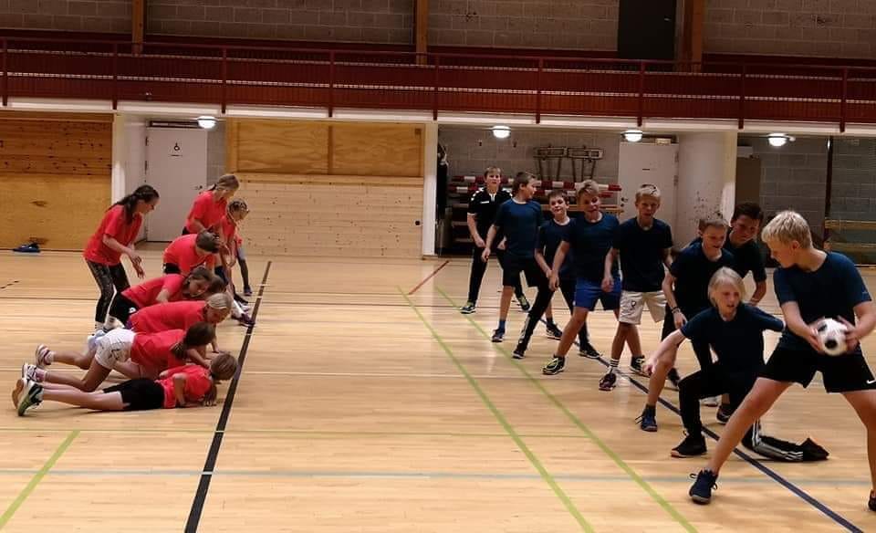 Ål handball