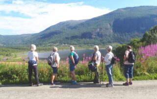 Utsyn over Fagersetvatnet