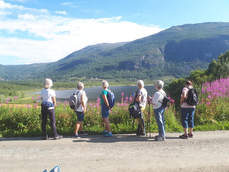 Utsyn over Fagersetvatnet